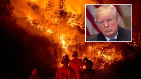 Incendios de California y Trump