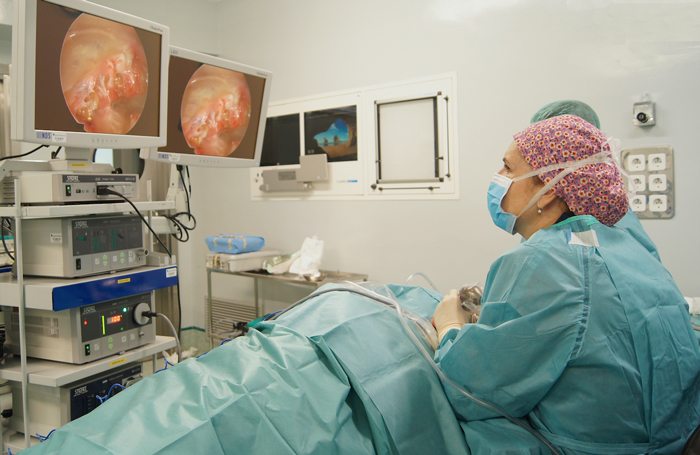 La doctora Mar Lasso de la Vega realizando una timpanoplastia con endoscopia