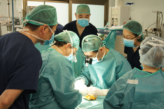 Cirujanos japoneses viendo operar al doctor Piñal