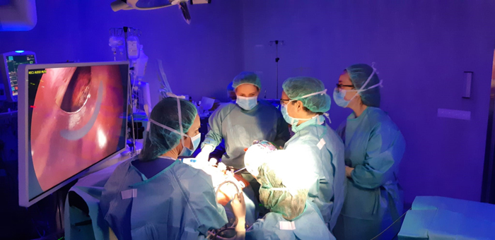 Unidad de Cirugía Hepatobiliopancreática del Hospital Infanta Elena en quirófano
