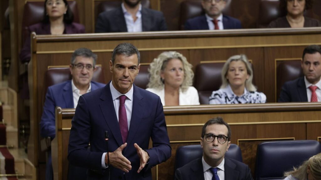 El presidente del Gobierno, Pedro Sánchez Pérez-Castejón. Foto: ©Congreso de los Diputados.
