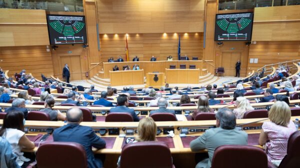 Sesión plenaria en el Senado. Foto: ©Senado de España/ Oficial.