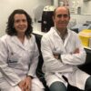 Un estudio del HURJC y el IIS-FJD identifica perfiles de inflamación en personas con VIH que trascienden las clasificaciones clínicas habituales.