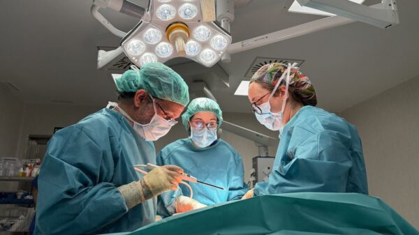 Piedras en la vesícula, diástasis, hernias y hemorroides: las otras huellas del embarazo.